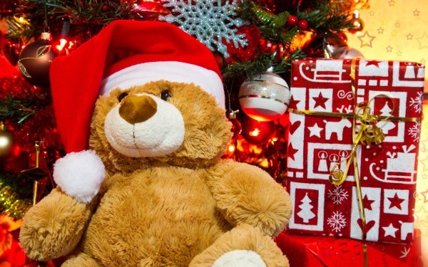 Holiday Christmas Gift Teddy Bear Christmas Ornaments Santa Hat HD Wallpaper | Background Image
