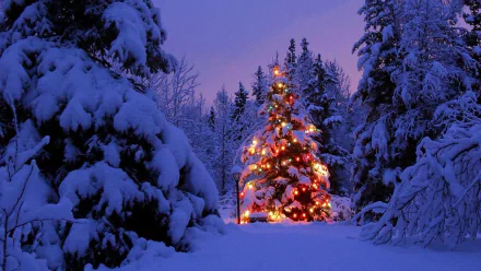 A beautifully lit Christmas tree stands surrounded by snow-covered trees in an evening winter landscape, capturing the festive spirit of the holiday season.