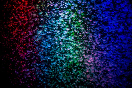 colors water Animal jellyfish HD Desktop Wallpaper | Background Image