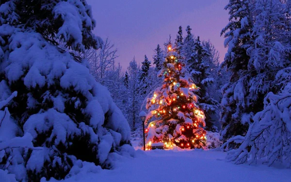 A beautifully lit Christmas tree stands surrounded by snow-covered trees in an evening winter landscape, capturing the festive spirit of the holiday season.