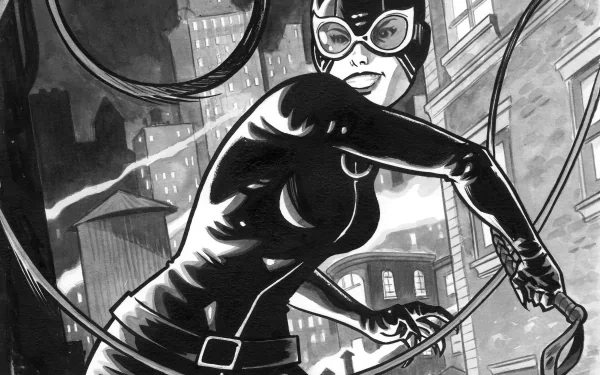 Comic Catwoman HD Desktop Wallpaper | Background Image
