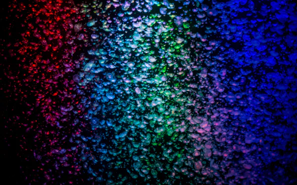 colors water Animal jellyfish HD Desktop Wallpaper | Background Image