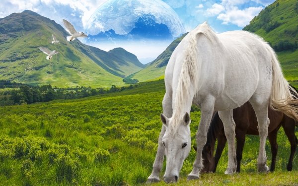 Animal Horse Fantasy Landscape Mountain Bird HD Wallpaper | Background Image