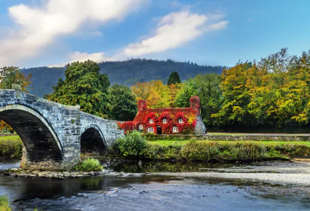  Ivy-Covered House in Wales