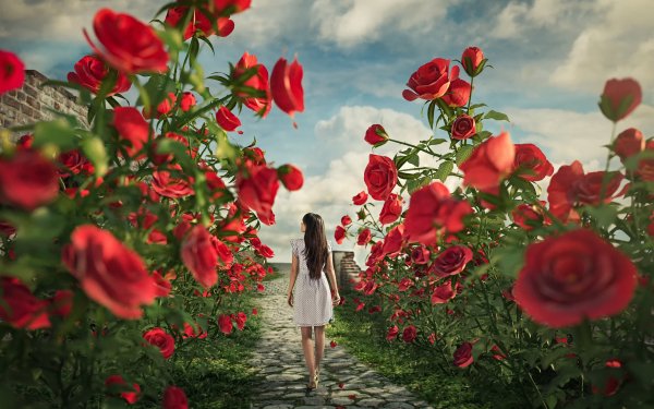 Women Rear Fantasy Flower Rose HD Wallpaper | Background Image