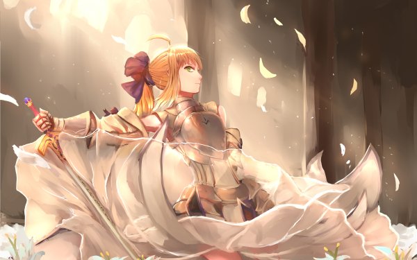 Anime Fate/unlimited codes Fate Series Saber Lily Saber Sword Woman Warrior Armor HD Wallpaper | Background Image