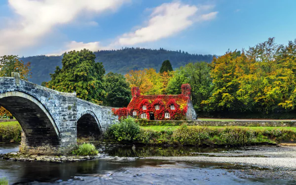  Ivy-Covered House in Wales