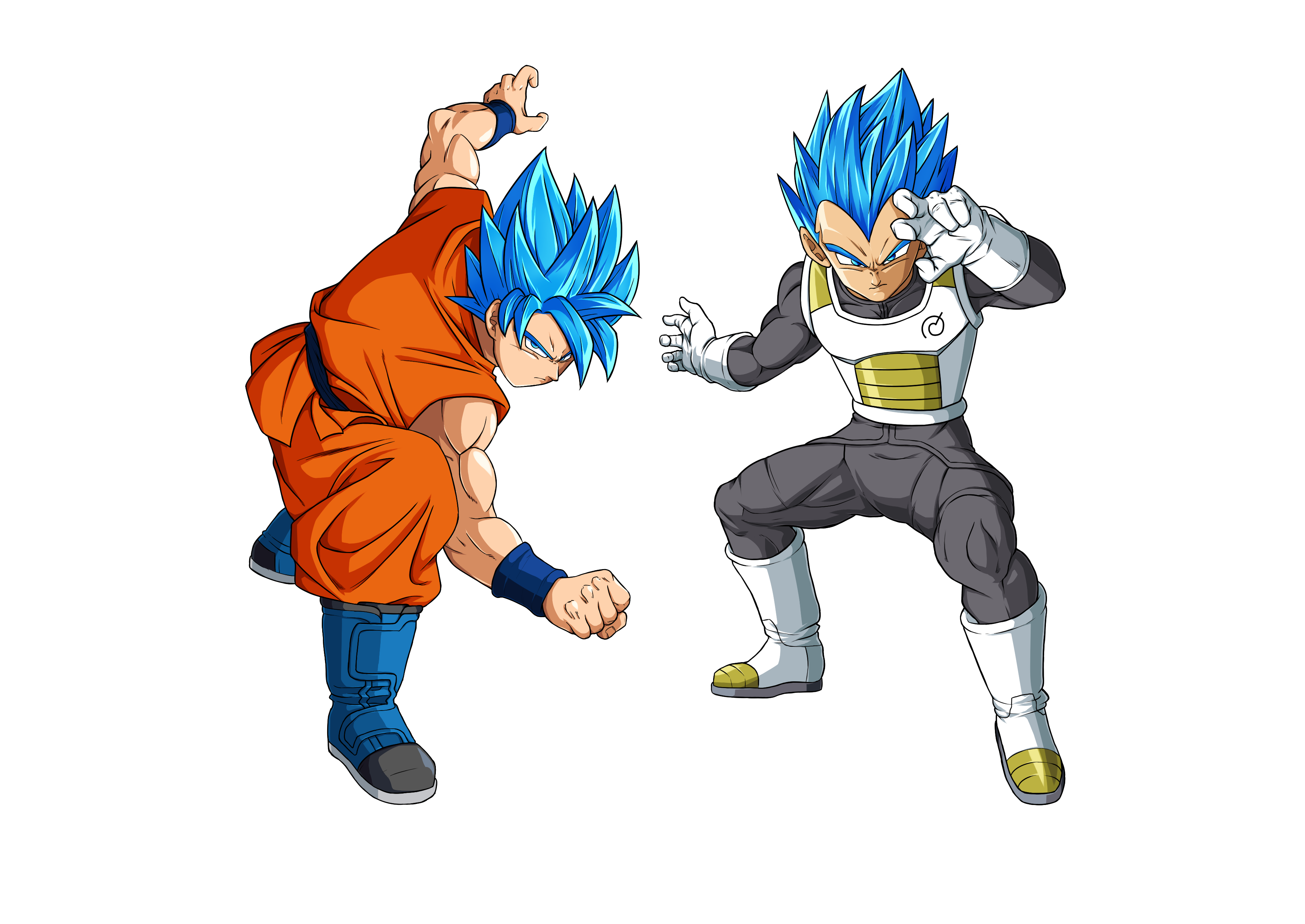 goku and vegeta ssj god