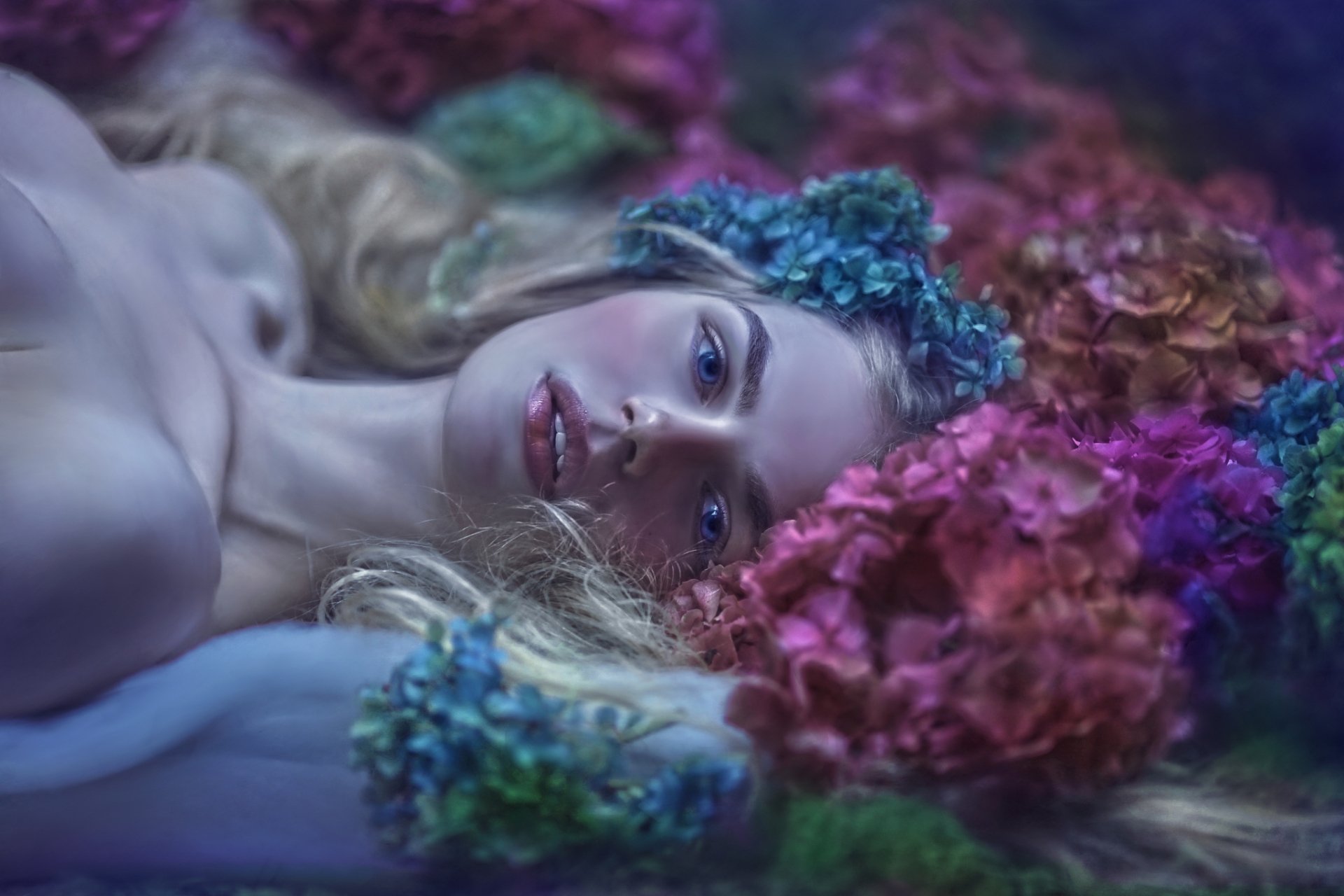 HD PC desktop wallpaper and background: reclining woman among colorful hydrangea flowers, bathed in soft, moody light with a dreamy, serene expression.