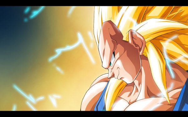 Anime Dragon Ball Z Dragon Ball Vegeta HD Wallpaper | Background Image