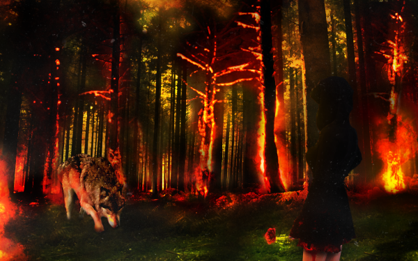 Fantasy Wolf Fantasy Animals Blood Rose Forest Fire HD Wallpaper | Background Image