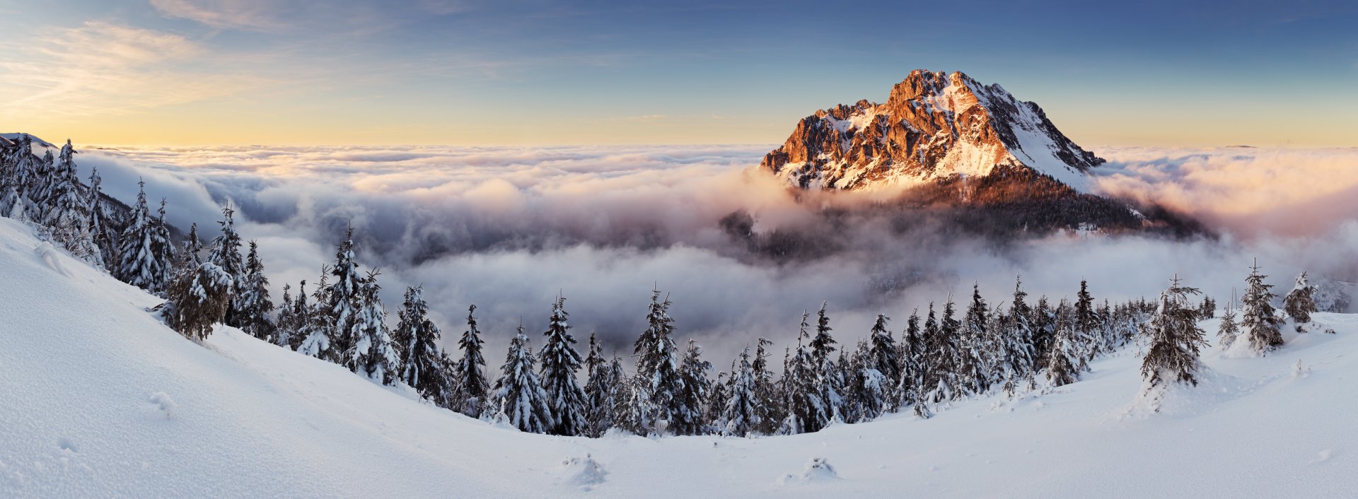 A breathtaking winter landscape featuring a majestic snow-capped mountain peak rising above a sea of clouds, with fog enveloping the horizon and dense evergreen trees in the foreground.