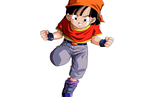HD desktop wallpaper of Pan from Dragon Ball GT in a fighting stance.