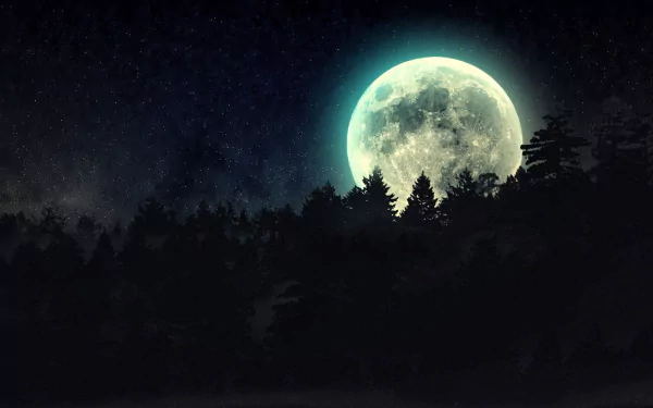 A stunning HD wallpaper featuring a dark silhouette of a forest under a bright moon, set against a starry night sky, capturing the essence of nature's tranquility.