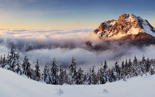 Tierra/Naturaleza Paisaje Naturaleza Invierno Niebla Snow Montaña Horizon Peak Sea Of Clouds Fondo de pantalla HD | Fondo de Escritorio