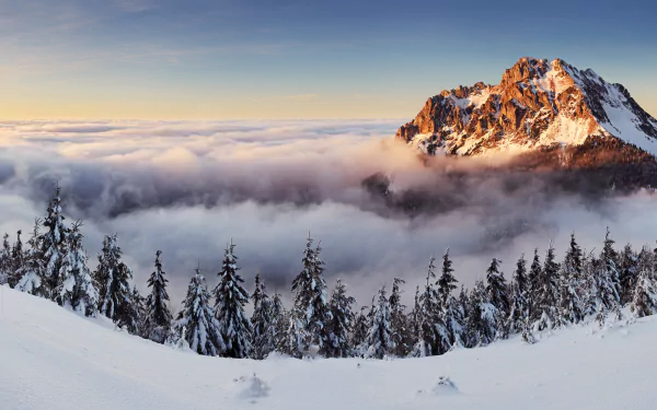 A breathtaking winter landscape featuring a majestic snow-capped mountain peak rising above a sea of clouds, with fog enveloping the horizon and dense evergreen trees in the foreground.