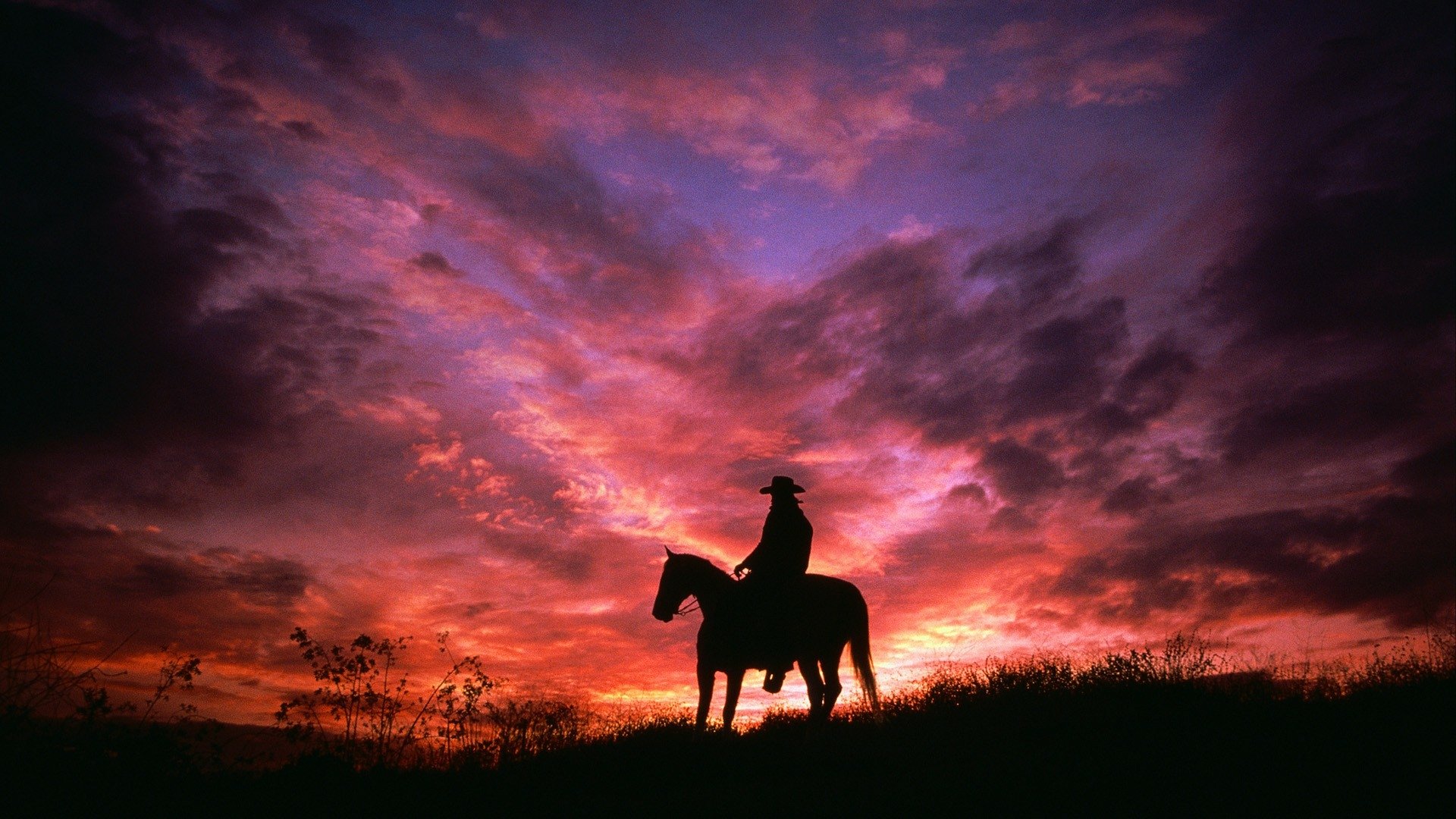 Cowboy On His Horse In Sunset Silhouette Fond Décran Hd