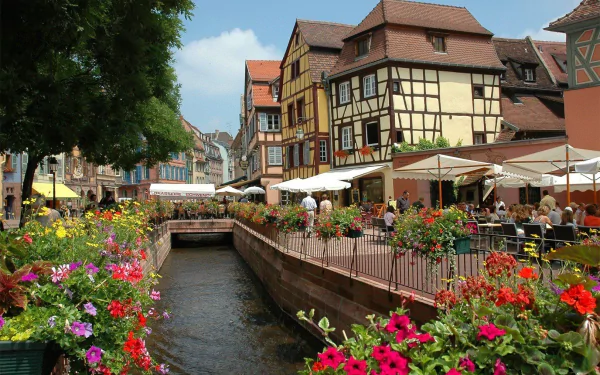 HD desktop wallpaper of colorful man-made buildings and outdoor cafes lining a canal in Colmar, adorned with vibrant flowers under a clear sky.