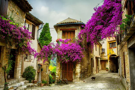 A picturesque street in Provence, France, adorned with vibrant purple flowers and charming architecture, creating a captivating man-made scene.