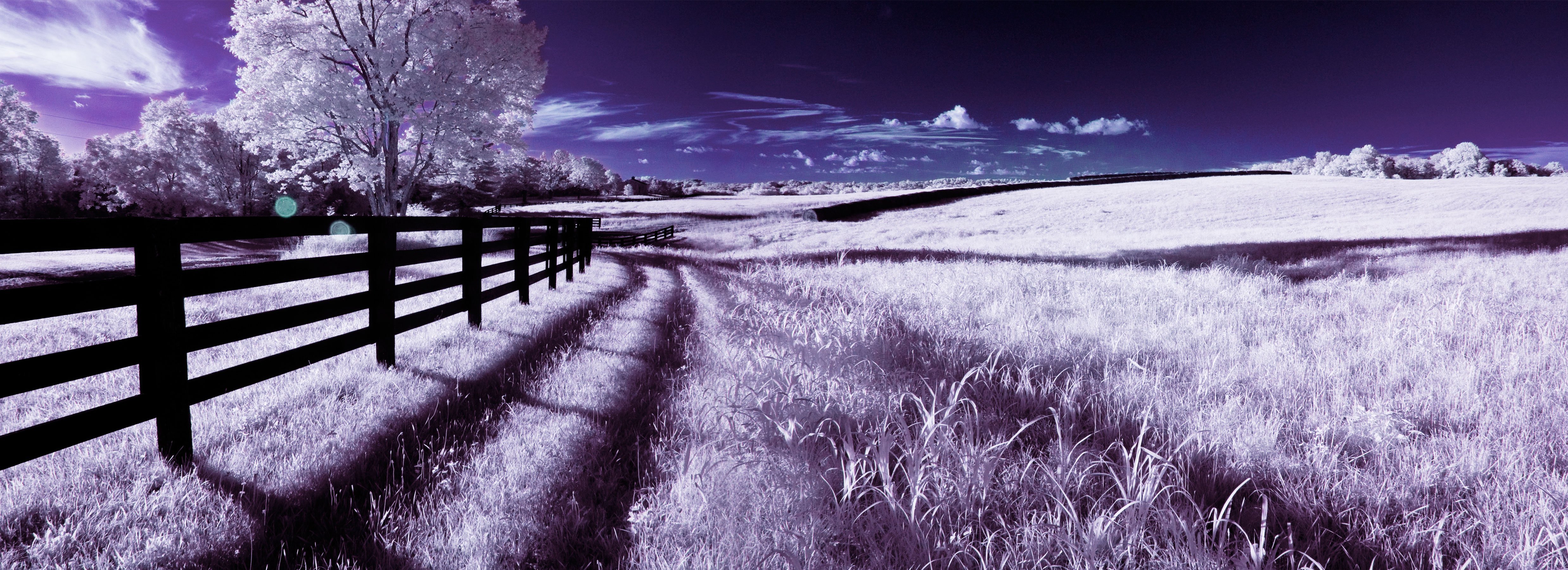 Infrared Photography country road