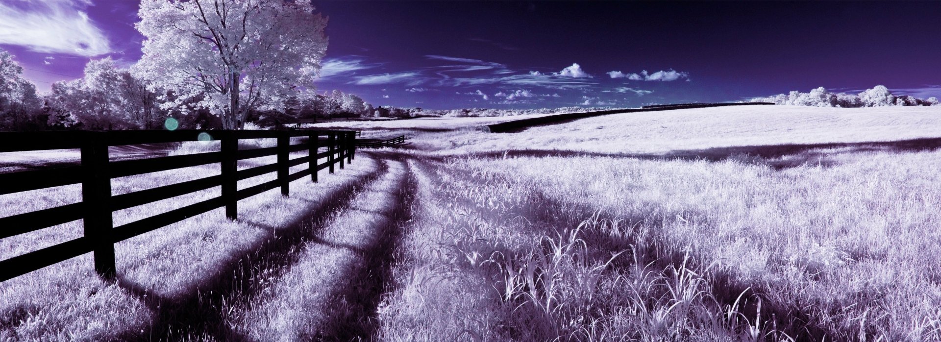 Download Photography Infrared HD Wallpaper