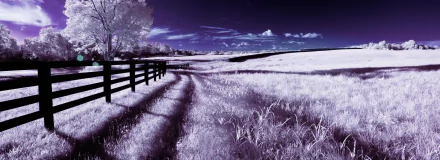  Infrared Photography country road