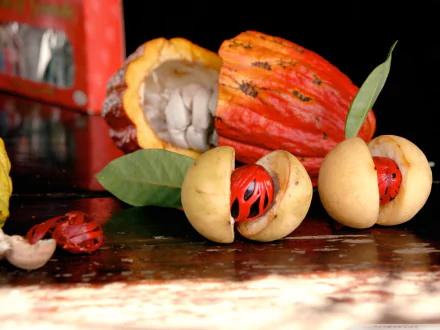  Thanksgiving fruits and spices