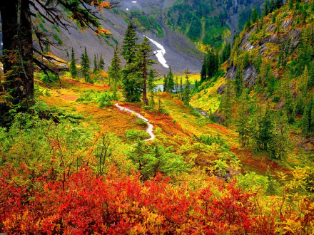 A vivid autumn landscape featuring vibrant foliage, towering trees, and a winding path leading to a glistening stream. This HD image captures the beauty of nature in full fall color.