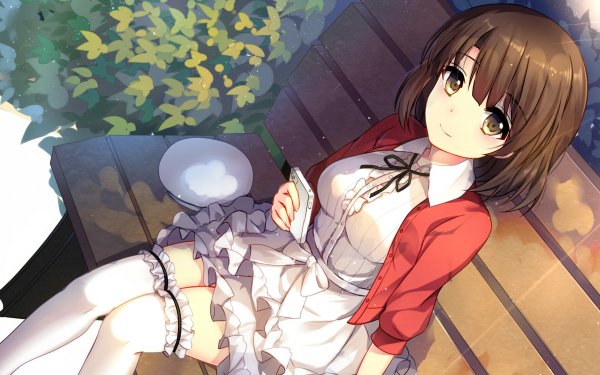Anime Saekano: How to Raise a Boring Girlfriend Megumi Katō Short Hair Brown Hair Brown Eyes Blush Phone Thigh Highs Bench HD Wallpaper | Background Image
