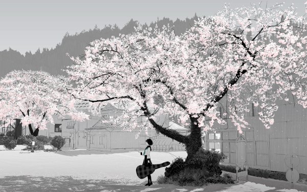 Anime Original Tree Sakura Blossom Guitar School Uniform Skirt Short Hair Black Hair HD Wallpaper | Background Image