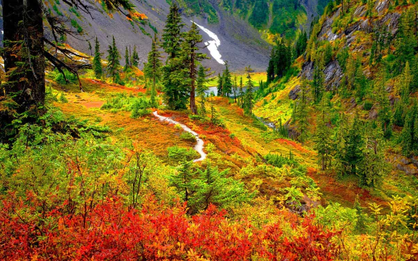 A vivid autumn landscape featuring vibrant foliage, towering trees, and a winding path leading to a glistening stream. This HD image captures the beauty of nature in full fall color.