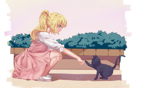 Anime Your Lie in April Kaori Miyazono Cat HD Wallpaper | Background Image