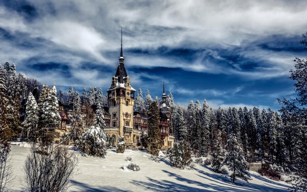 Man Made Peles Castle Castles Romania Castle Winter Snow Forest Sky HD Wallpaper | Background Image