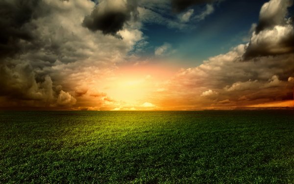Earth Sky Cloud Sunset Field Grass HD Wallpaper | Background Image