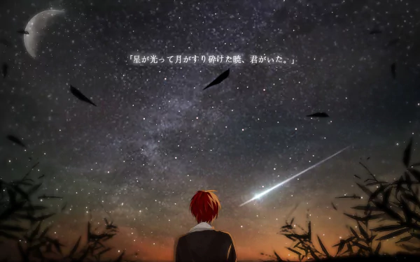 HD desktop wallpaper featuring Karma Akabane from Anime Assassination Classroom. He is gazing at a starry night sky with a shooting star and the moon visible, surrounded by silhouetted plants and leaves.