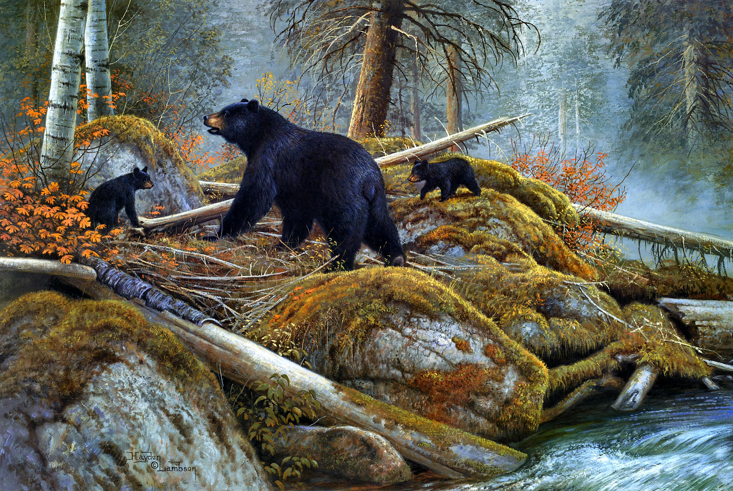 Bear and her Cubs near Autumn Lake by Hayden Lambson