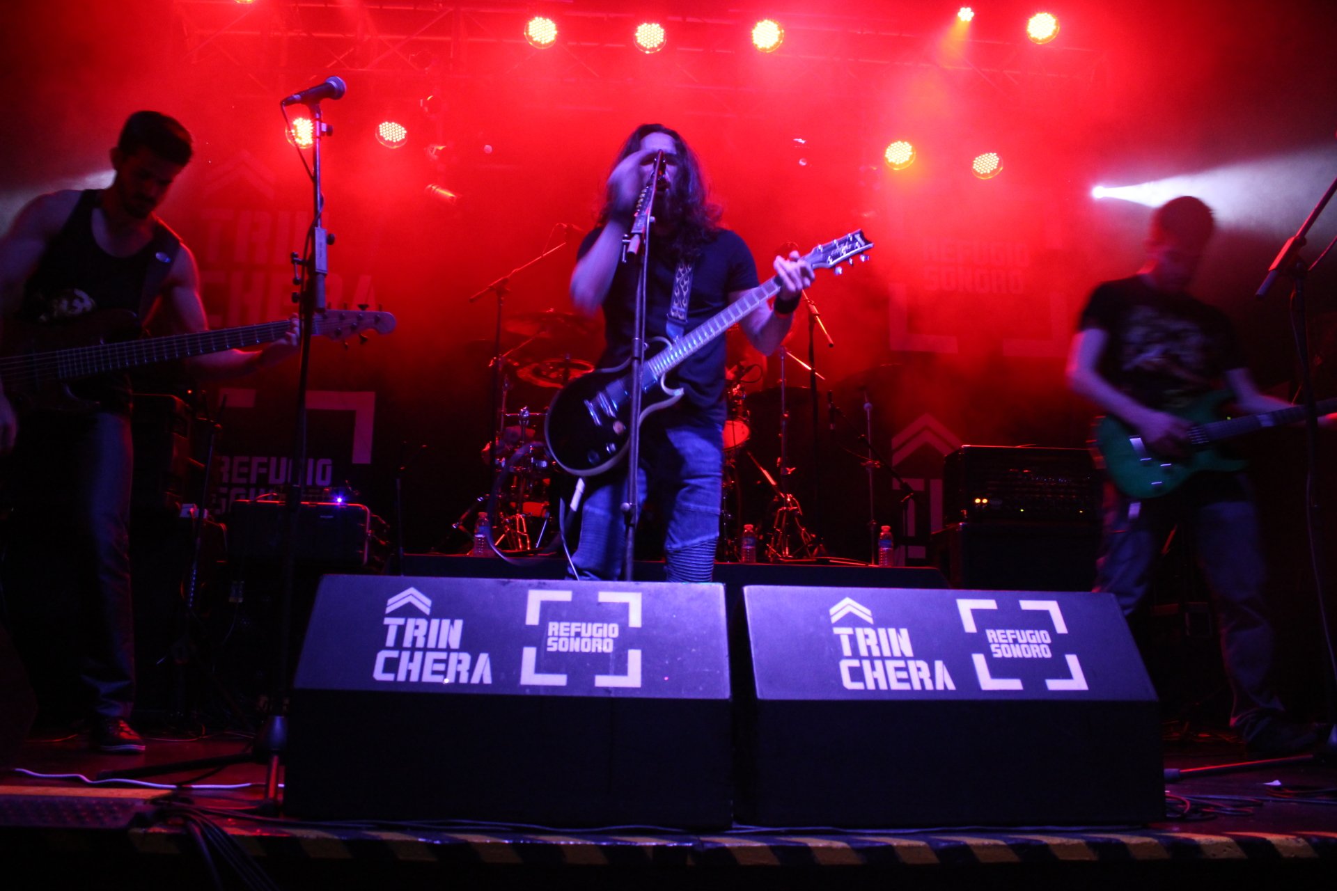 Bull of phalaris micro live by pbfalaris