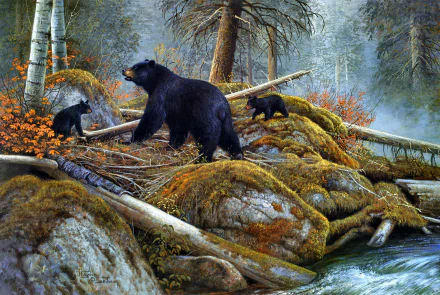 Artistic HD wallpaper of an American Black Bear and her two cubs exploring a mossy forest by a river in fall, blending elements of grizzly and black bear features.