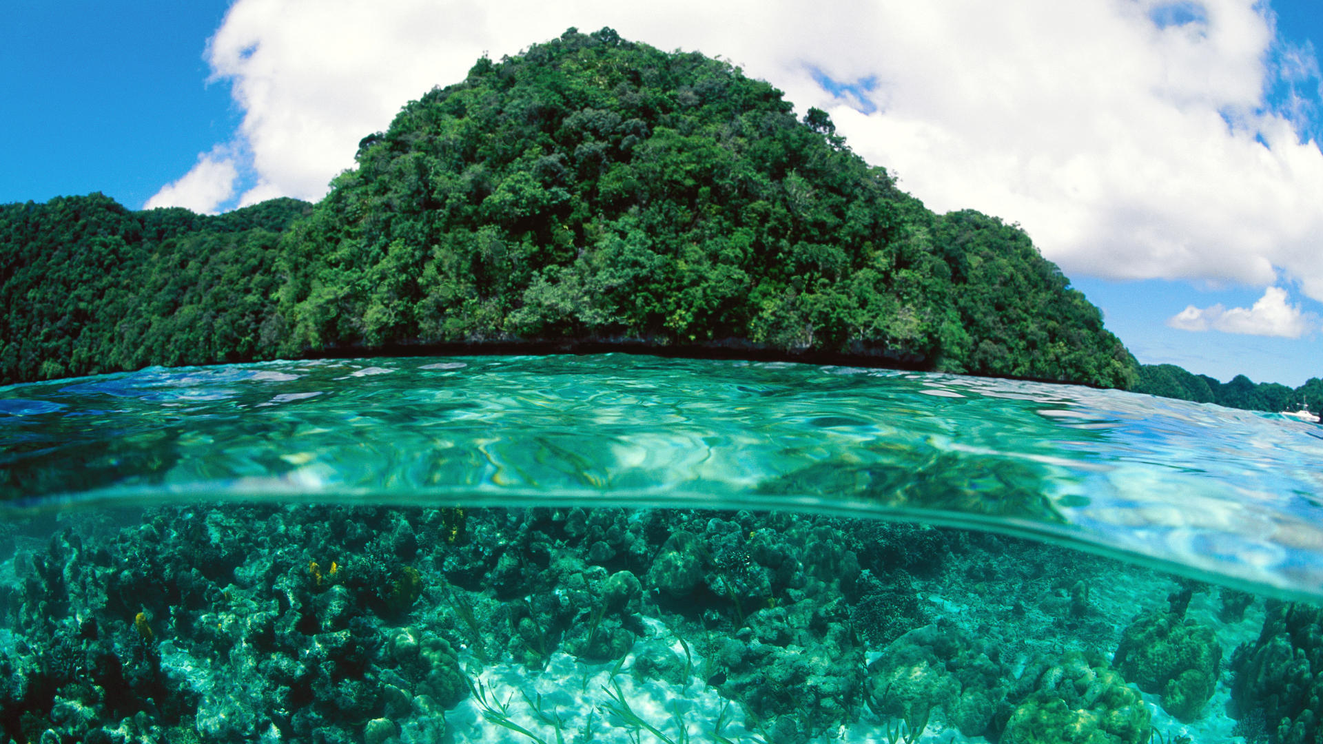 Island вода. Коралловые острова Палау. Рок-Айлендс, Палау. Голубая Лагуна Тайланд. Прозрачное море.
