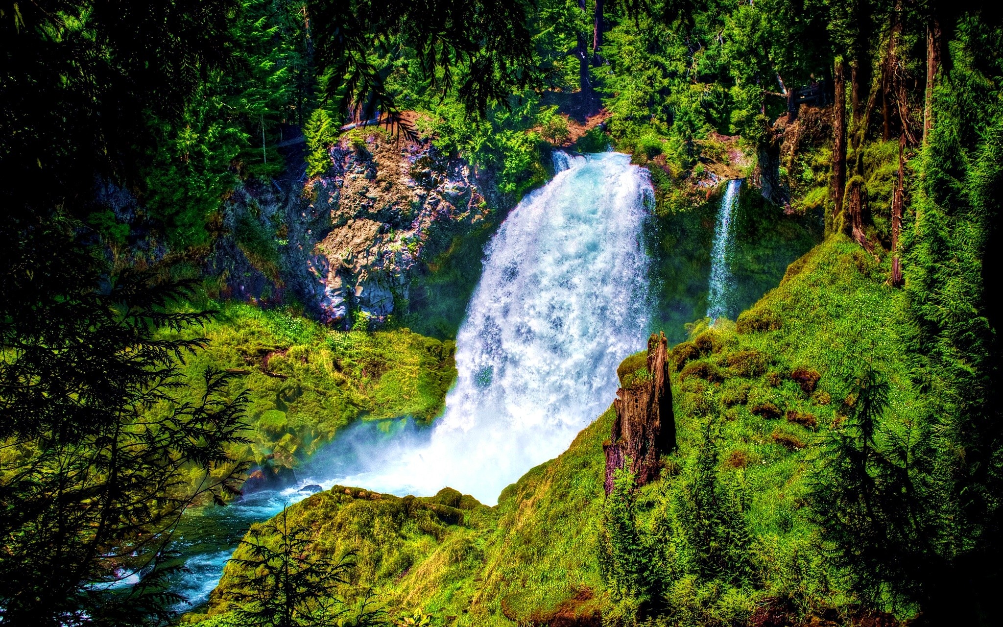 Download Nature Tree Forest Green Oregon Sahalie Falls Waterfall HD ...