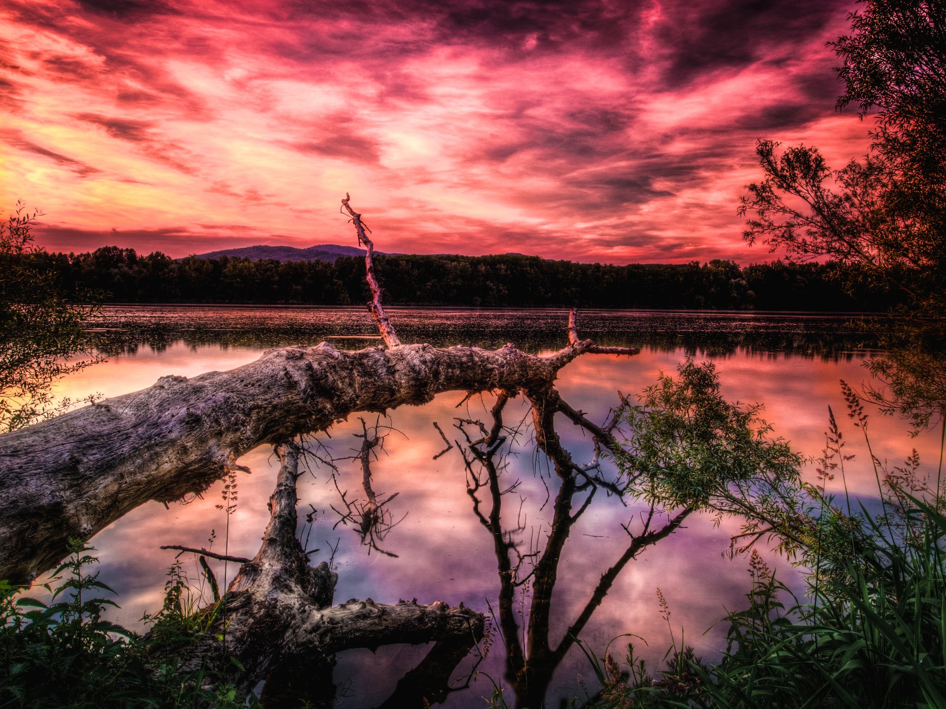 Download Pink Landscape Reflection Nature Tree Lake Mountain Cloud Sky ...