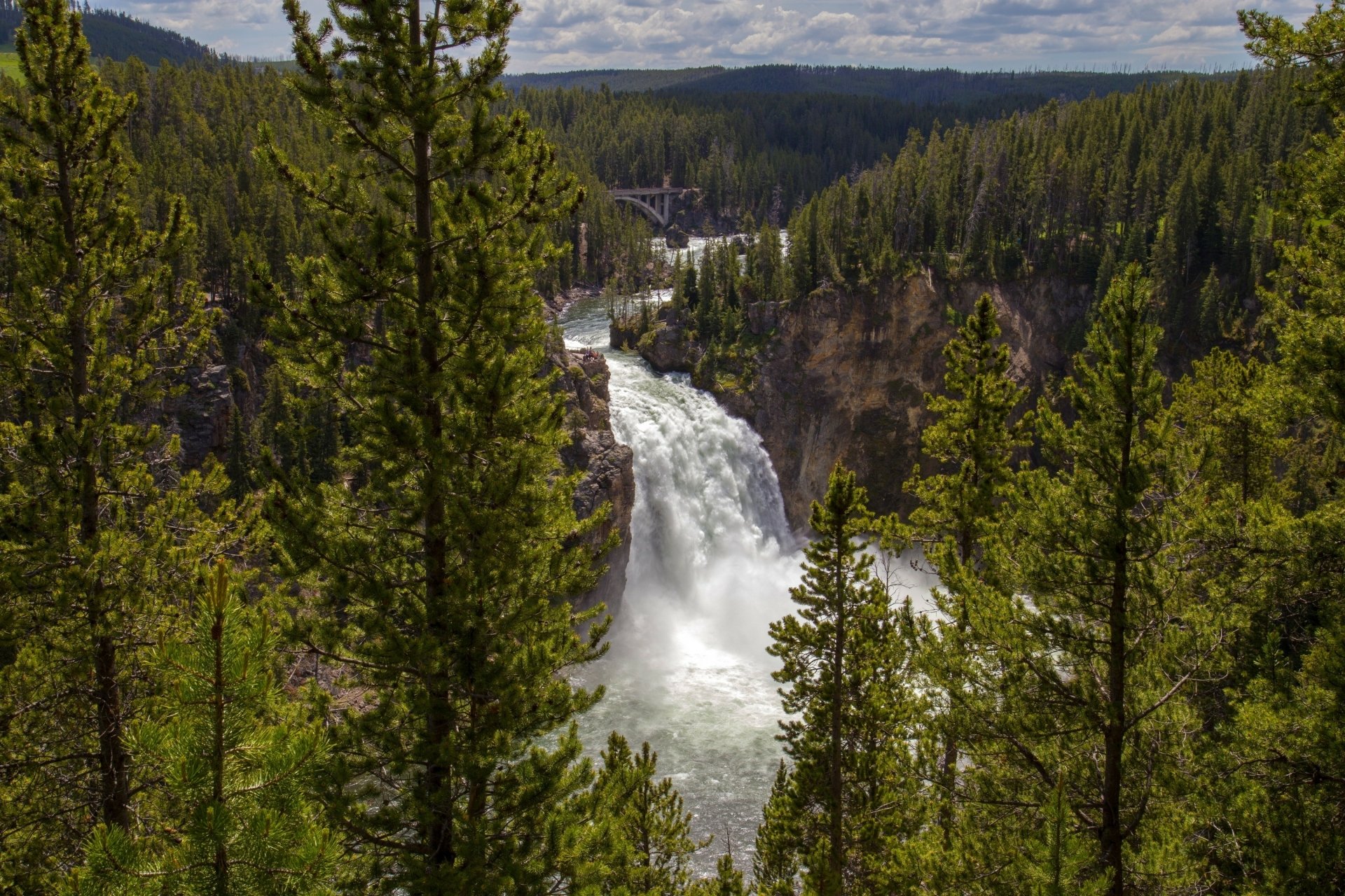 2K Quad HD PC desktop wallpaper and background: lush green fir trees frame a roaring waterfall plunging through a rocky canyon, mist rising over a vast, forested landscape.