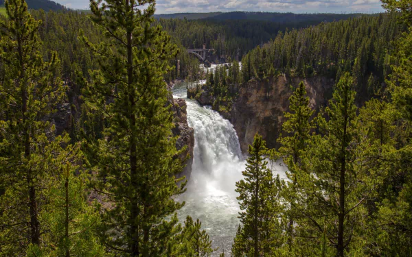 2K Quad HD PC desktop wallpaper and background: lush green fir trees frame a roaring waterfall plunging through a rocky canyon, mist rising over a vast, forested landscape.