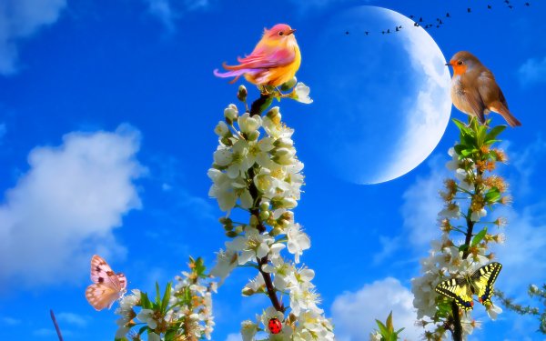 Artistic Spring Flower Bird Butterfly Planet Blossom HD Wallpaper | Background Image