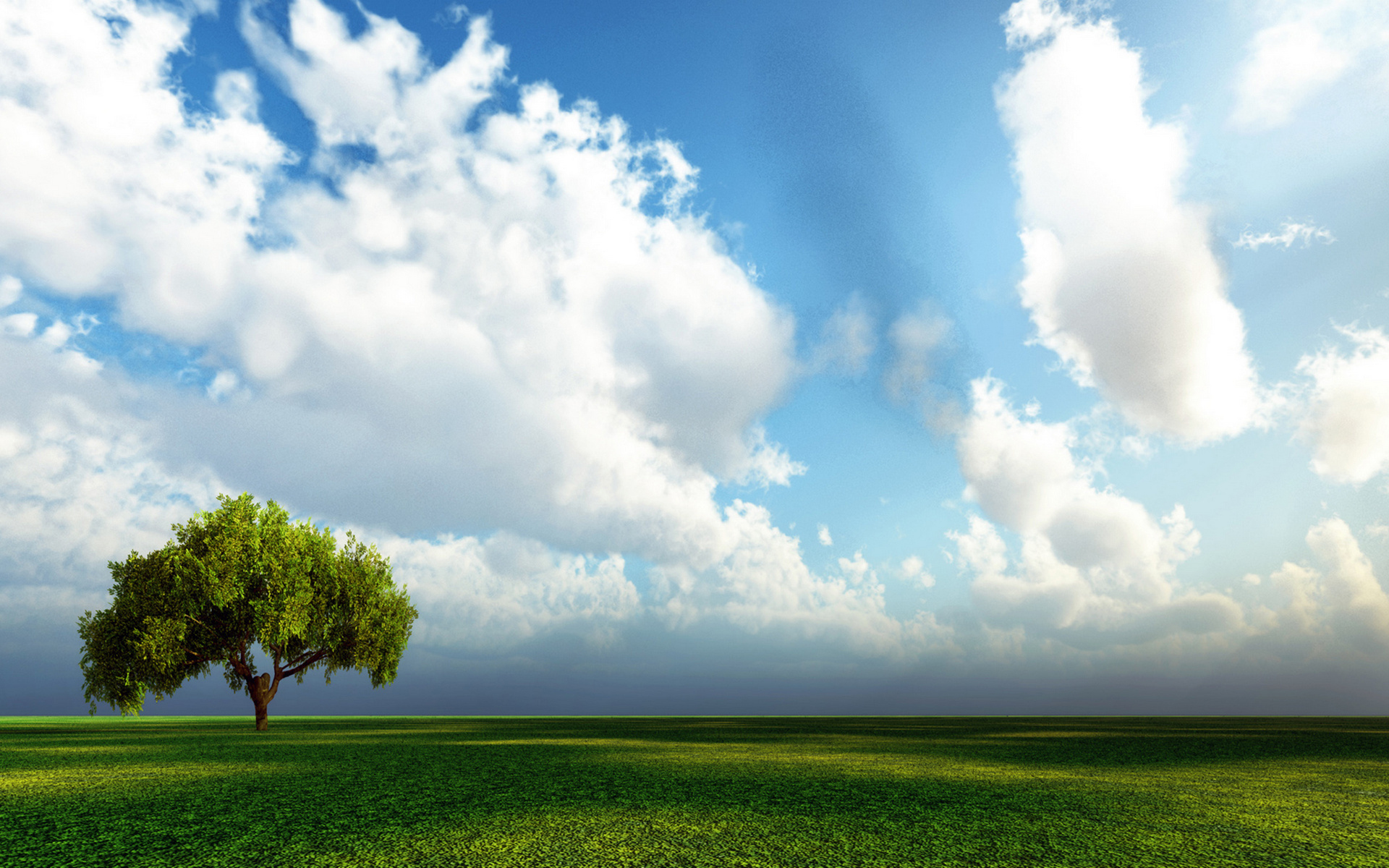 Beautiful Sky Over Tree In Field HD Wallpaper Background Image