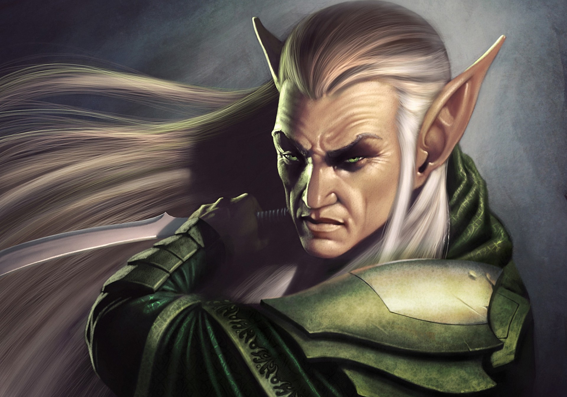 male elven fighter