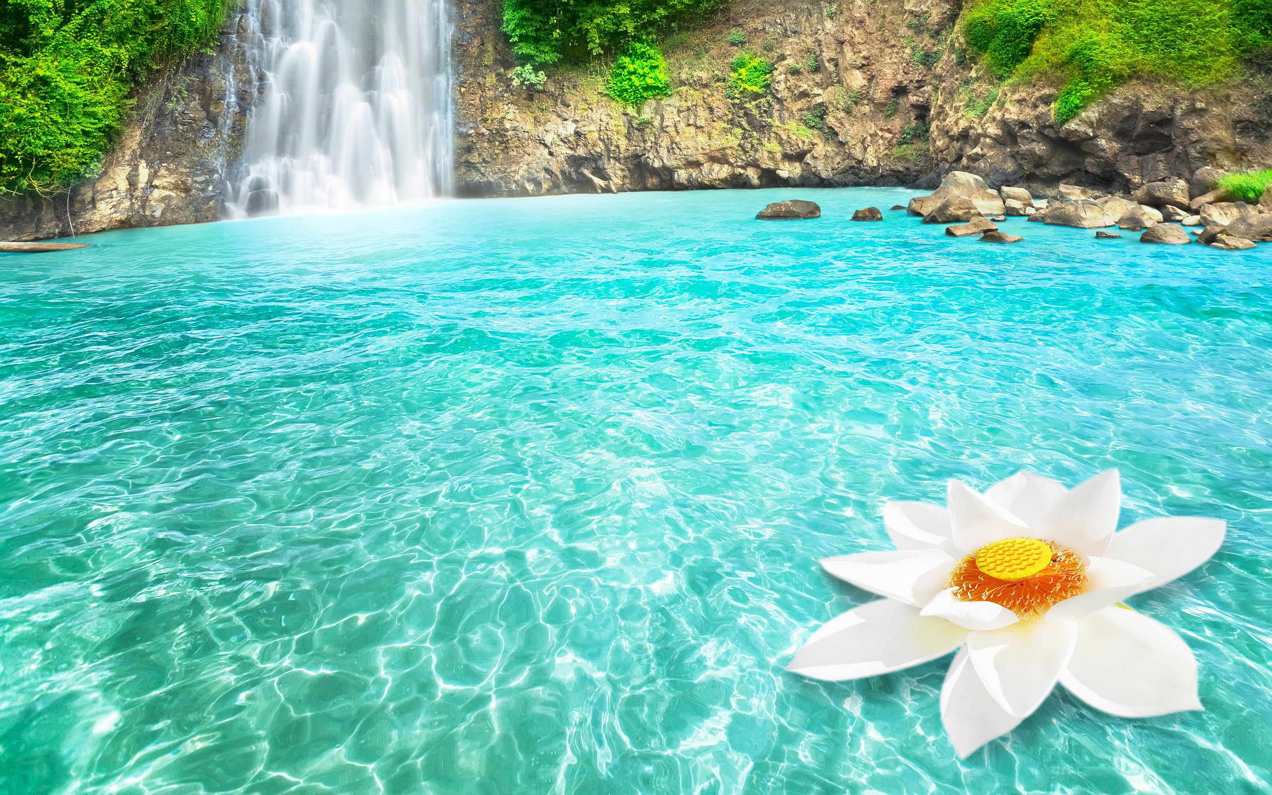 Tropical waterfall and white lotus wallpapers, achtergronden ... Wallpaper steen