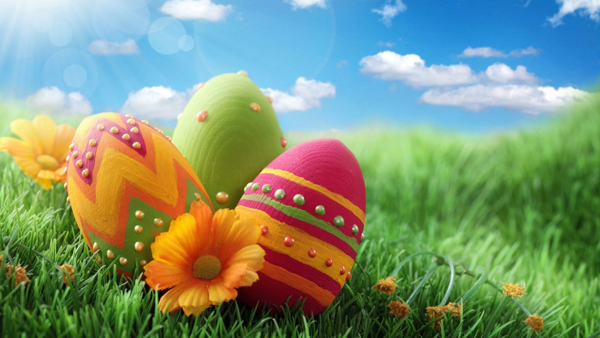 Easter Eggs and Flower Fondo de pantalla HD | Fondo de Escritorio ...