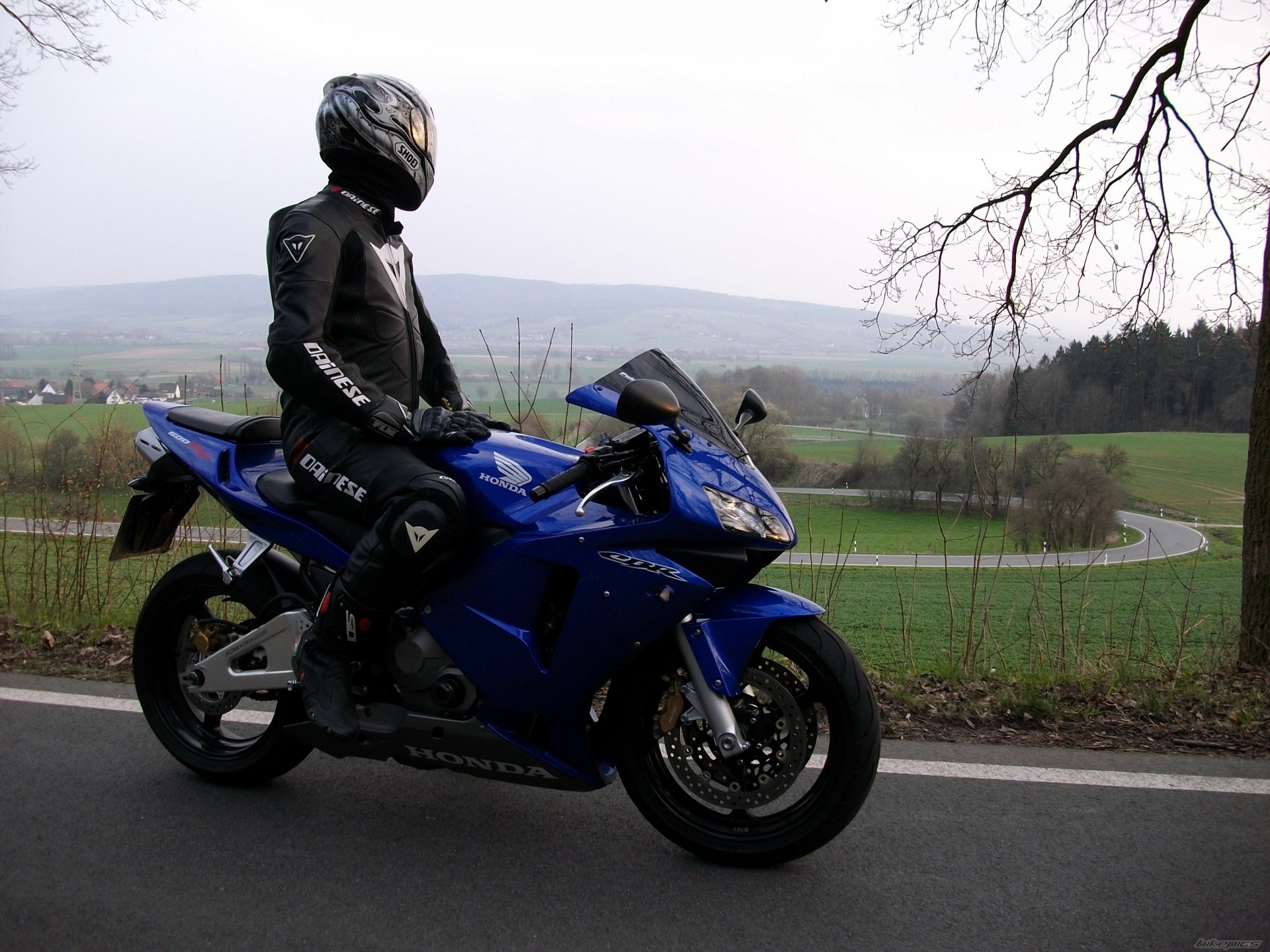 Download Motorcycle Vehicle Honda CBR600RR HD Wallpaper