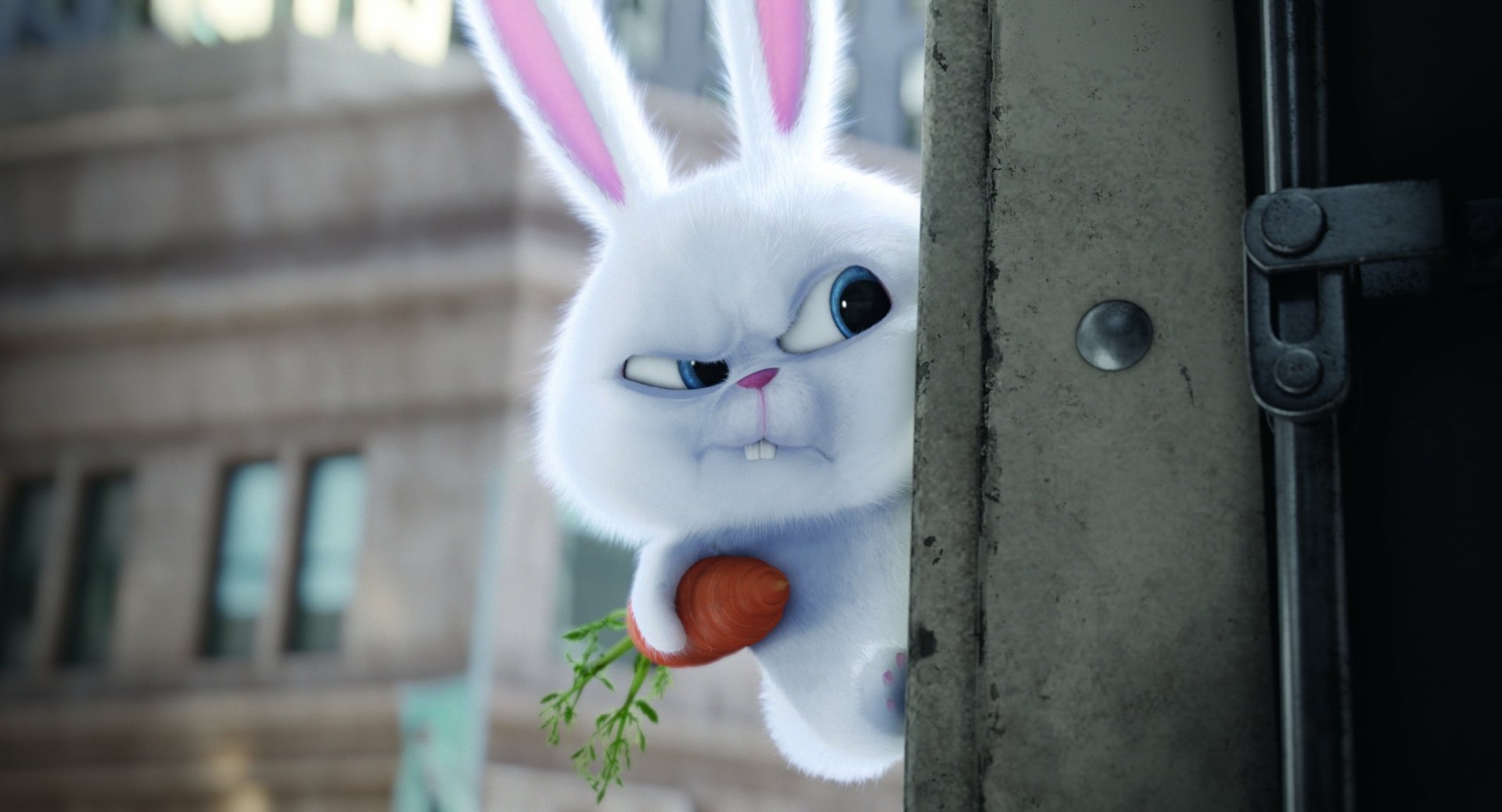 A fluffy white rabbit peeks from behind a door, clutching a carrot, set against a city backdrop. This scene is from the movie The Secret Life of Pets, featured as an HD desktop wallpaper.